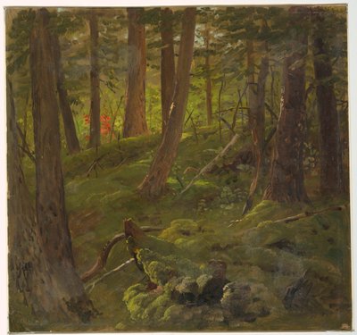 Zeichnung, Dschungelvegetation, 1865 von Frederic Edwin Church